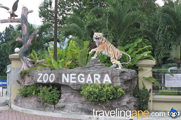Zoo  Negara