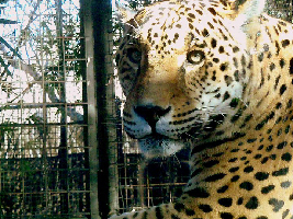 Green Bay United States Zoo