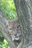 Lignano Sabbiadoro Italy Zoo