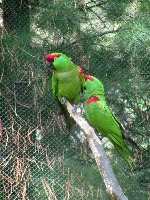 Flushing United States Zoo