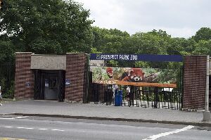 Brooklyn United States Zoo