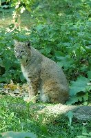 Bismarck United States Zoo