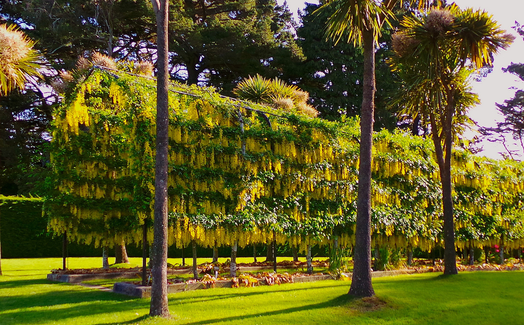 Larnach Castle  and Gardens
