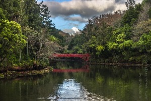 New Plymouth New Zealand Park