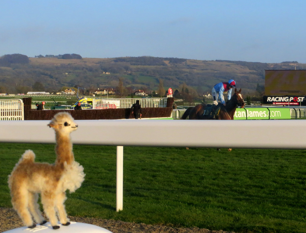 Cheltenham Racecourse