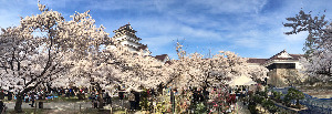 Tsurugajo Castle