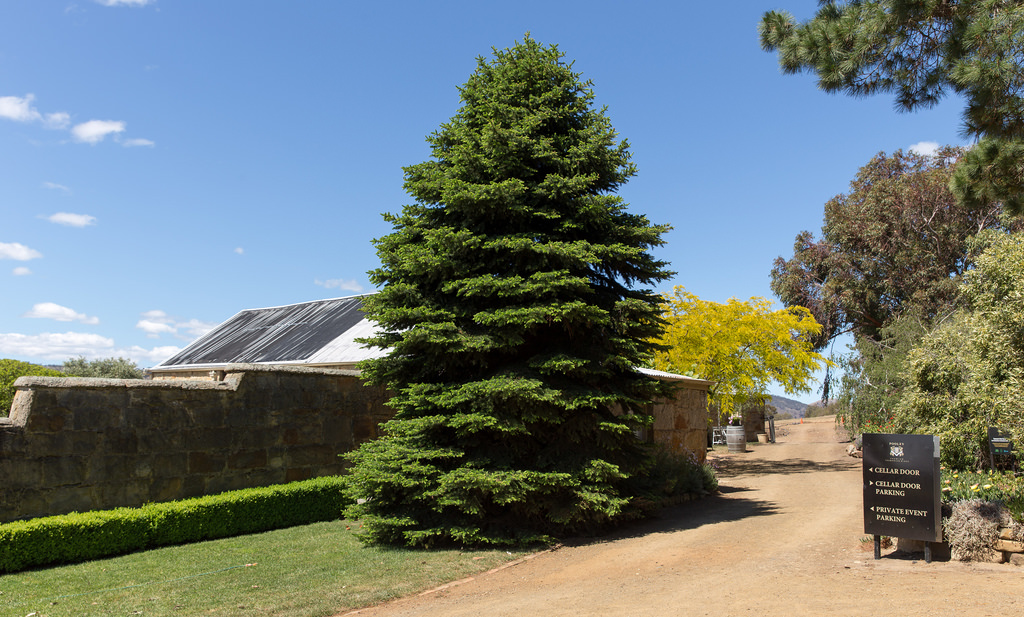 Under Down Under - Day Tours
