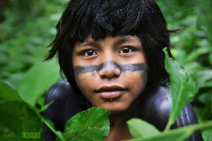 Jungle Boy