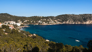 Camp de Mar