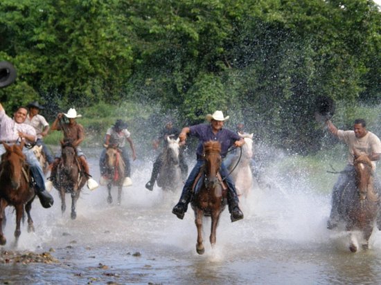 HorsePlay Punta Cana