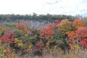 Vanderpool United States Natural Area