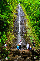 Manoa Falls