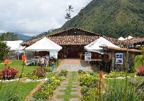 Bosques de Cocora
