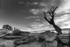 Grand Mesa