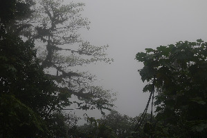 Cerro Chato (Chato Volcano)