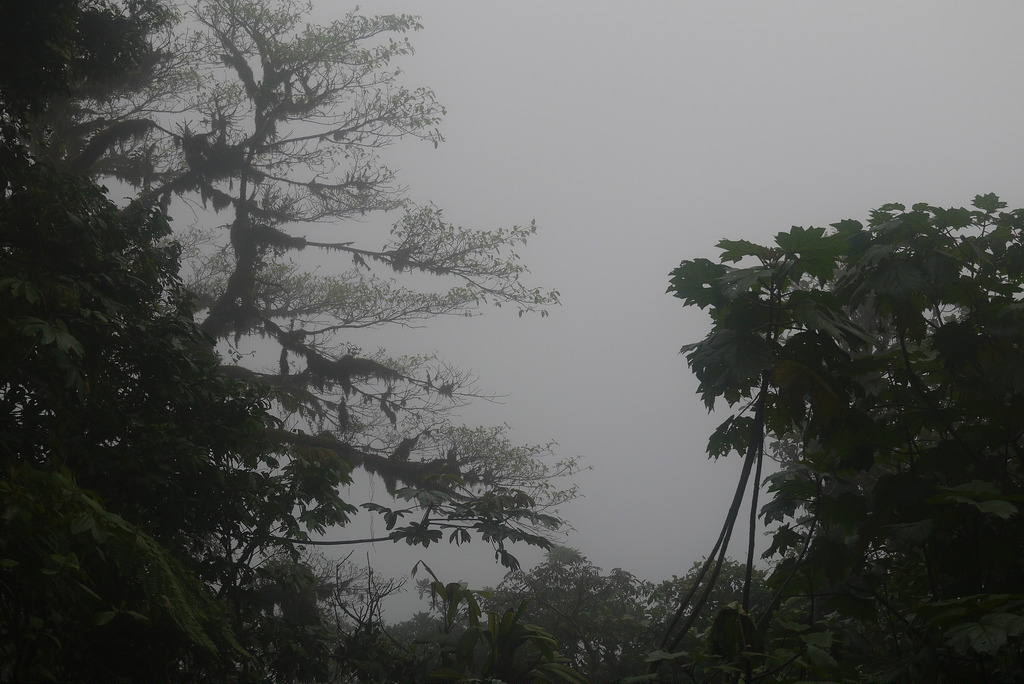 Cerro Chato (Chato Volcano)