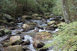 Jones Gap State Park