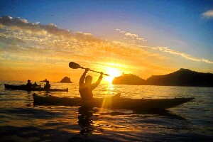 Cathedral  Cove Kayak Tours