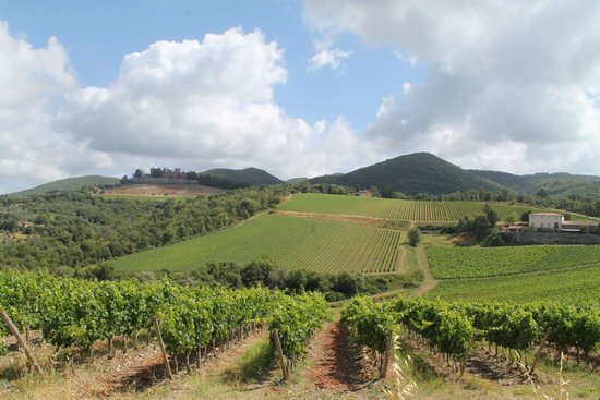 Tours Around Tuscany - Day Tours