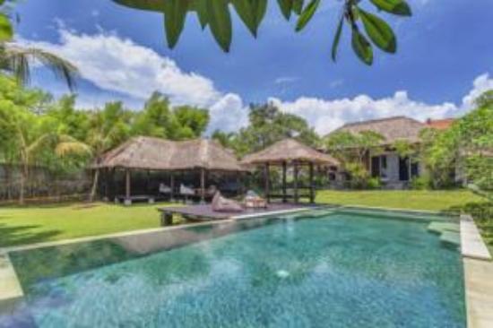 Endless Summer Surf  School