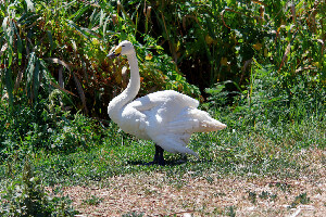 Rostov-on-Don Russia Zoo