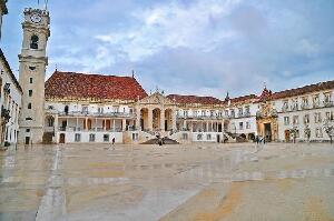 Walkborder Tours