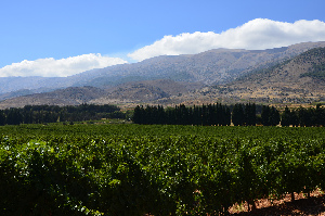 Chateau Kefraya
