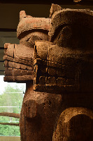 Museum of Anthropology