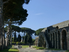 Ercolano Canada Tour