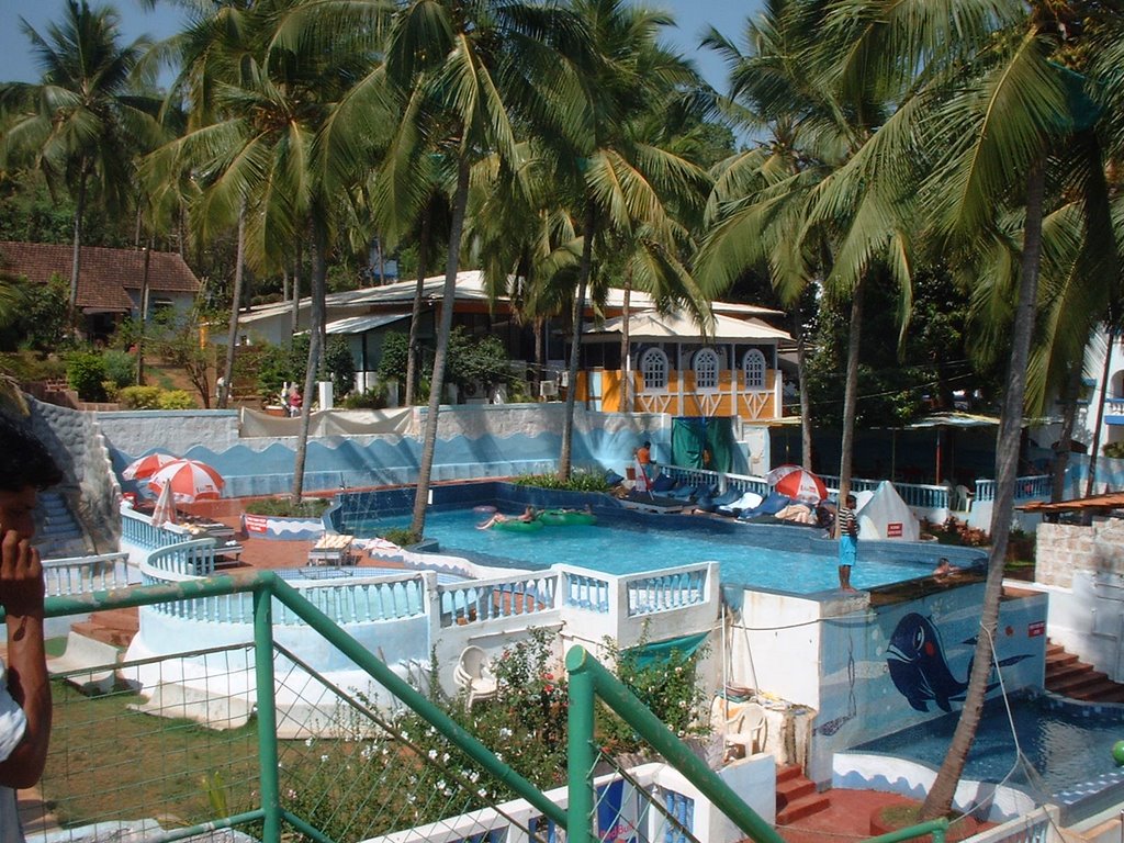 Blue Whale  Water Park