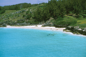 Whale  Bay Park Bermuda Bay