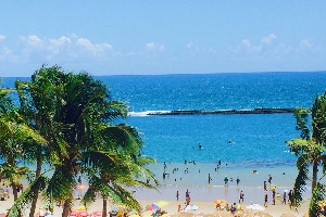 Frances  Beach