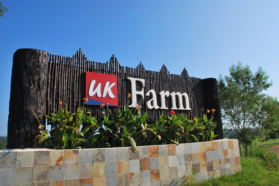 UK Agro resort
