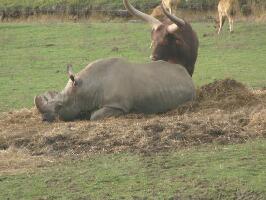 Limoges France Zoo