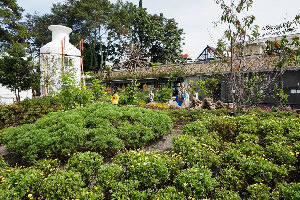 Indonesia Farmhouse