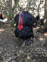 Aoubre L'aventure Nature