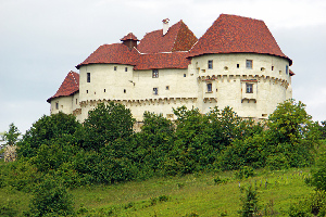Celje Slovenia Castle