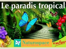 Naturospace