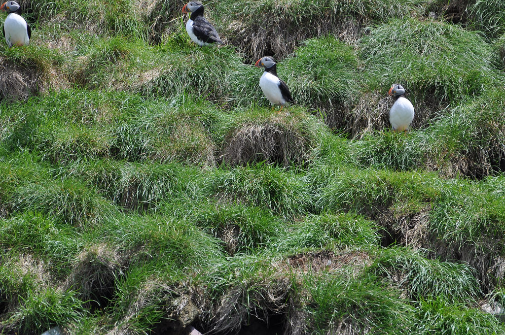 Season Tours  - Day Tours