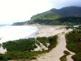 Bream Head Coast Walks