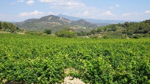 Tours du Rhone