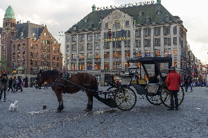 Madame Tussauds Amsterdam