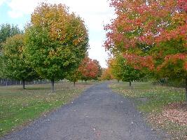 Northwest Park