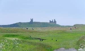 Alnwick Denmark Golf course