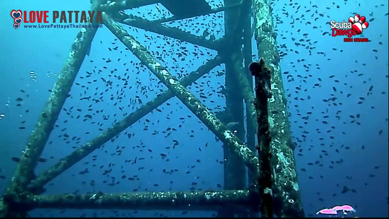 Scuba Dawgs Pattaya