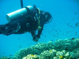 Planet Scuba
