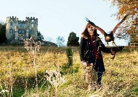 West of England  Falconry