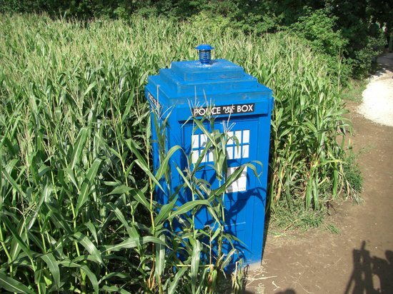 York Maze