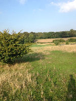 Dummer England Golf