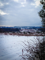 Cannock Chase